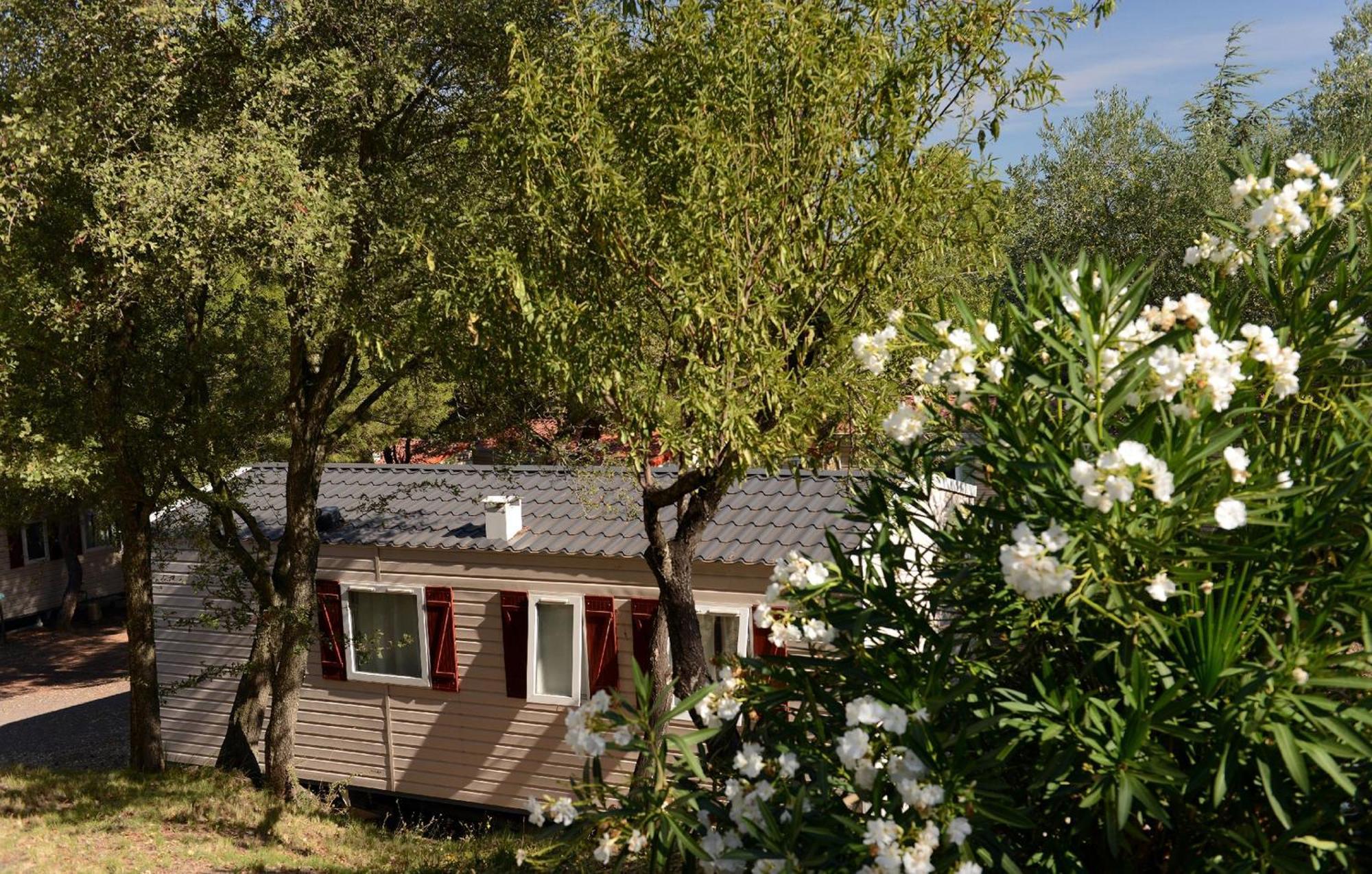 Domaine Residentiel De Plein Air Odalys La Pinede Agde Kültér fotó
