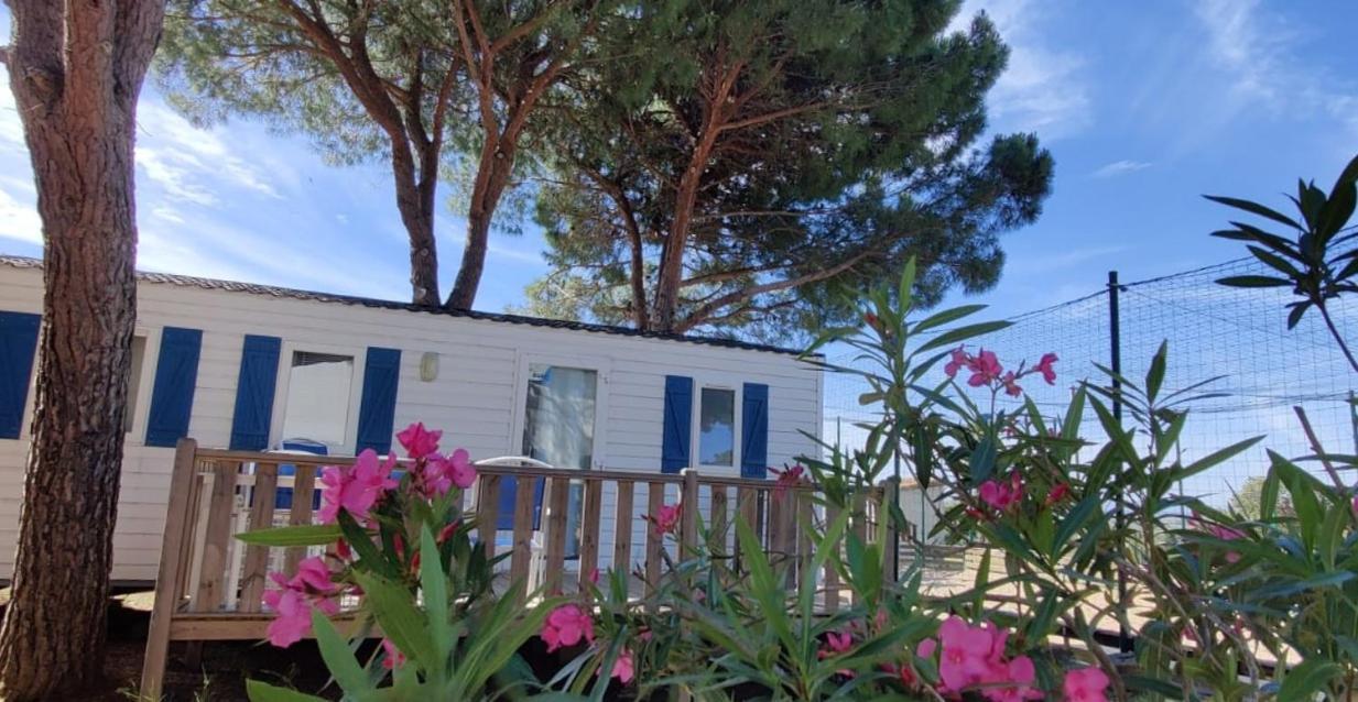Domaine Residentiel De Plein Air Odalys La Pinede Agde Kültér fotó