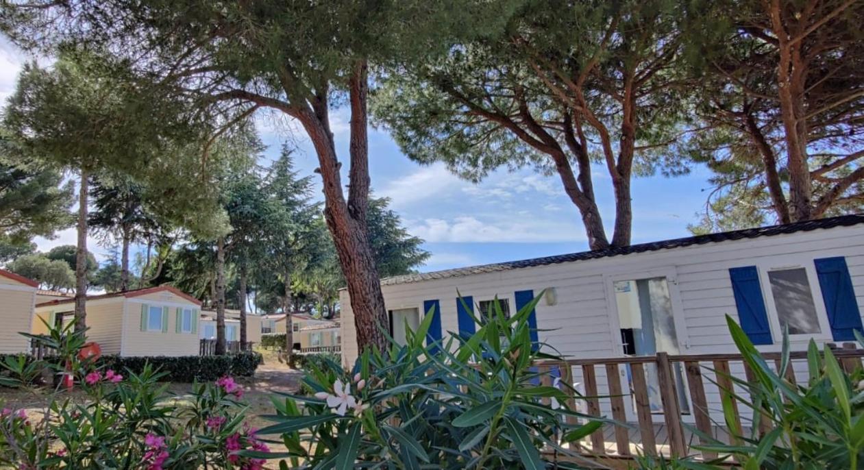 Domaine Residentiel De Plein Air Odalys La Pinede Agde Kültér fotó