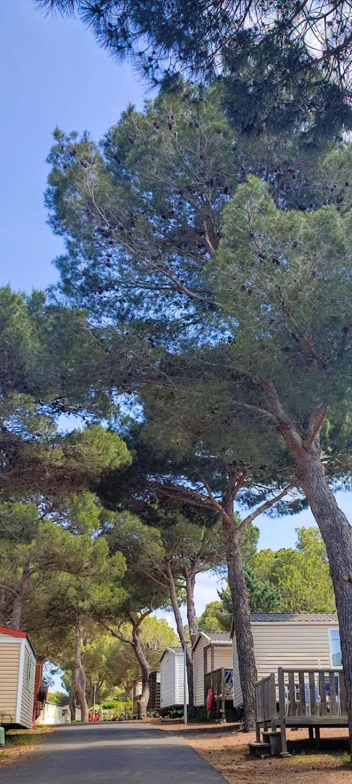 Domaine Residentiel De Plein Air Odalys La Pinede Agde Kültér fotó