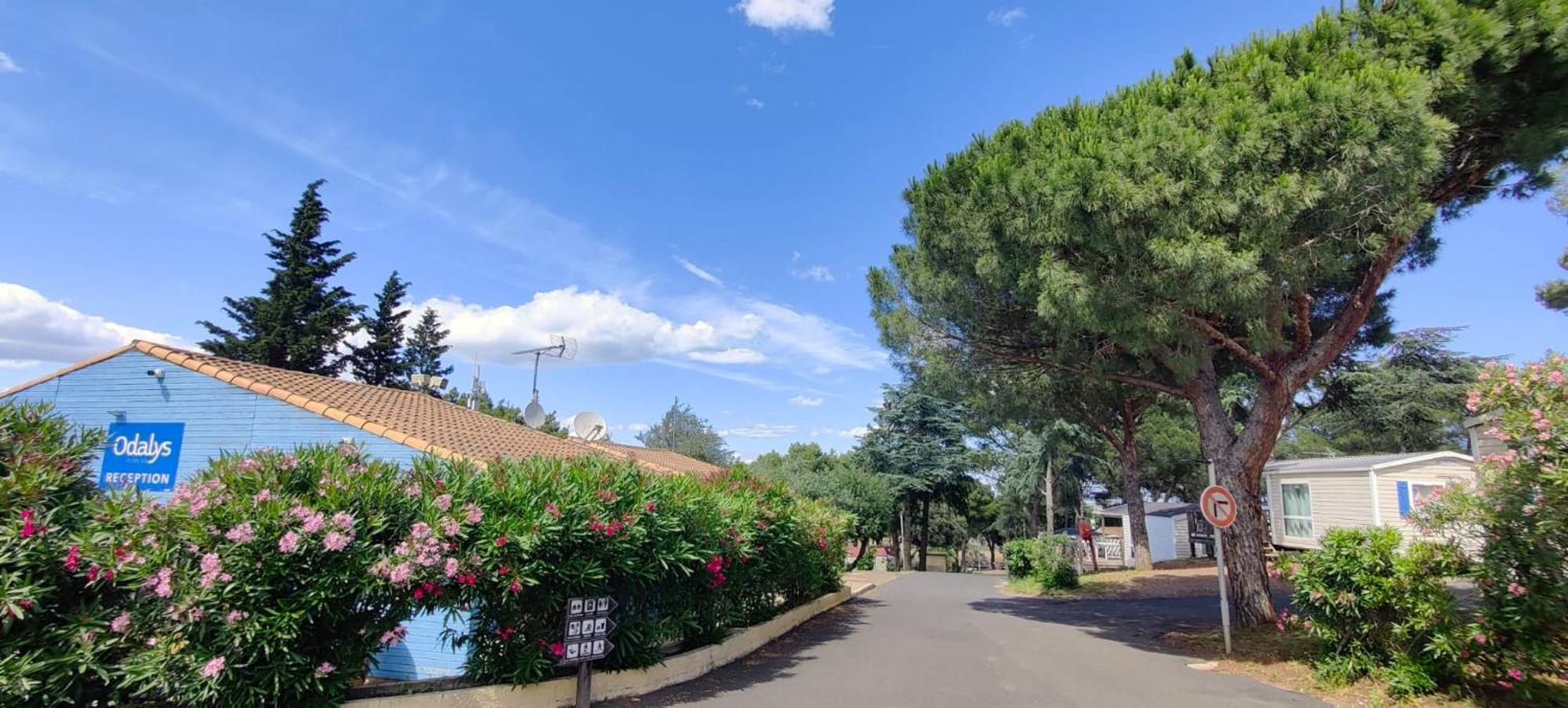 Domaine Residentiel De Plein Air Odalys La Pinede Agde Kültér fotó
